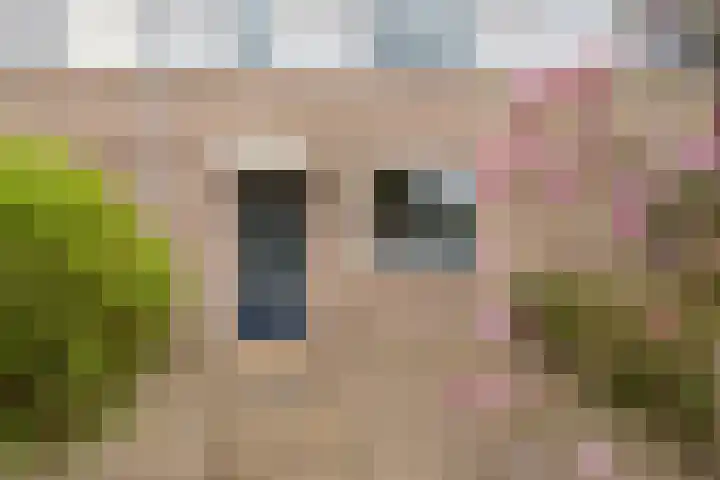 Haagwinde 64 Oudkarspel thumbnail 5