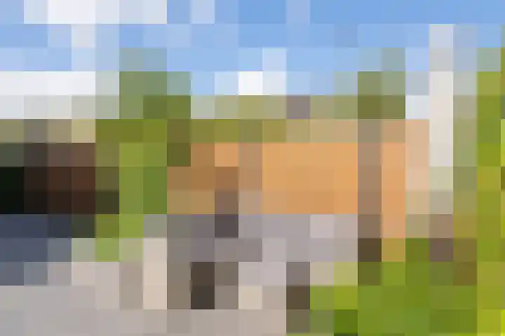 Haagwinde 8 Barendrecht thumbnail 33