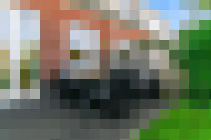 Haagwinde 8 Zevenhoven thumbnail 21