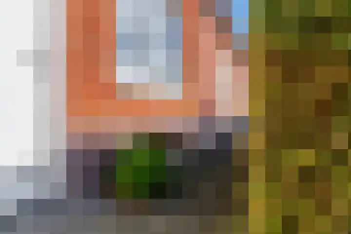 Haagwinde 8 Zevenhoven thumbnail 29