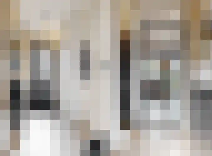 Haagwinde 8 Zevenhoven thumbnail 9