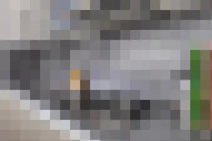 Haagwinde 9 Capelle aan den IJssel thumbnail 10