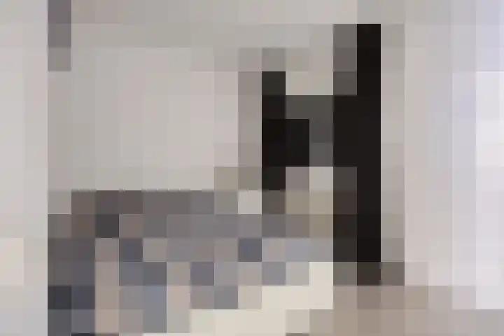 Haagwinde 9 Capelle aan den IJssel thumbnail 12