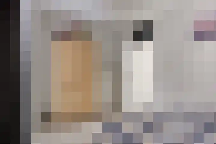 Haagwinde 9 Capelle aan den IJssel thumbnail 13