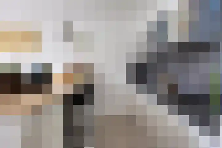 Haagwinde 9 Capelle aan den IJssel thumbnail 8