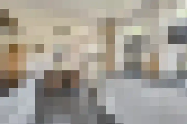 Haagwinde 9 Oudkarspel thumbnail 10