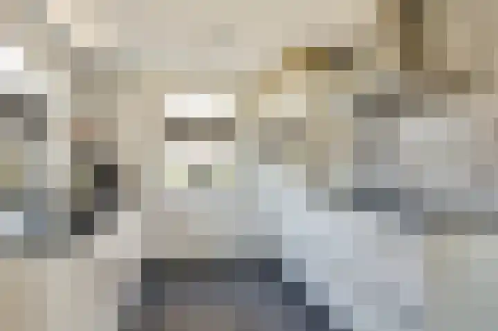 Haagwinde 9 Oudkarspel thumbnail 11