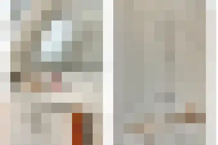 Haagwinde 9 Oudkarspel thumbnail 26
