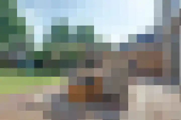 Haagwinde 9 Oudkarspel thumbnail 30