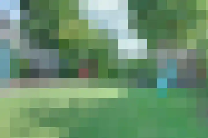 Haagwinde 9 Oudkarspel thumbnail 31