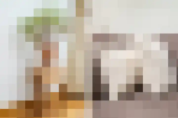 Haagwindelaan 20 Oosthuizen thumbnail 11