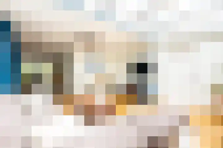Haagwindelaan 20 Oosthuizen thumbnail 13