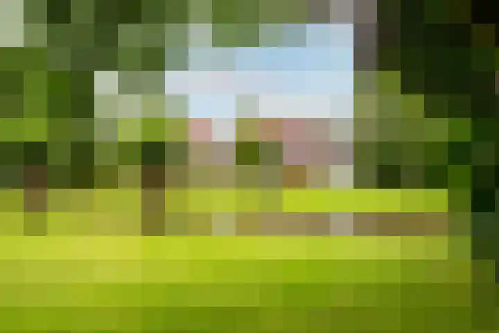 Haagwindelaan 20 Oosthuizen foto 3