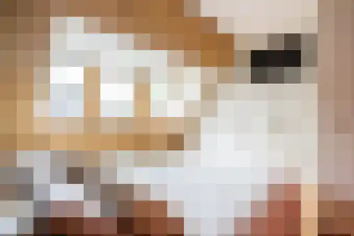 Haagwindelaan 20 Oosthuizen thumbnail 34