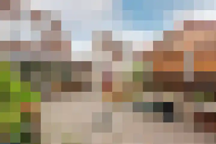 Haagwindelaan 20 Oosthuizen thumbnail 49