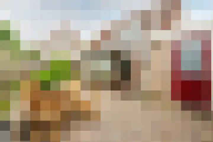 Haagwindelaan 20 Oosthuizen thumbnail 51