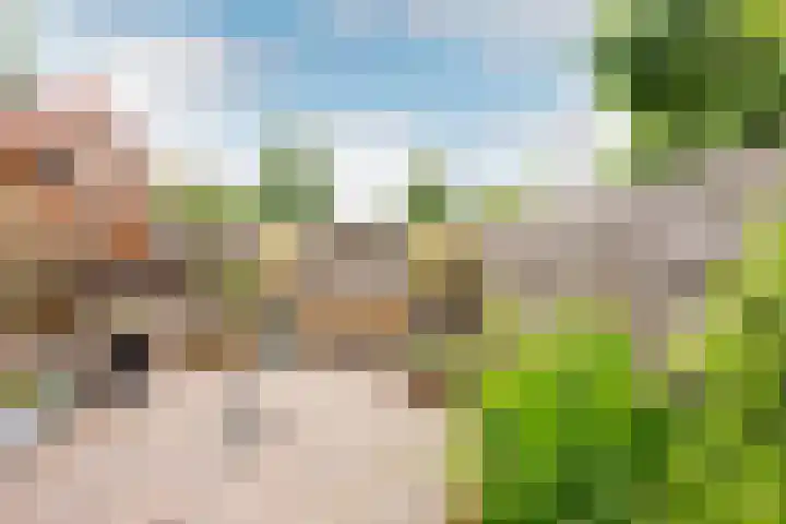 Haagwindelaan 20 Oosthuizen thumbnail 58