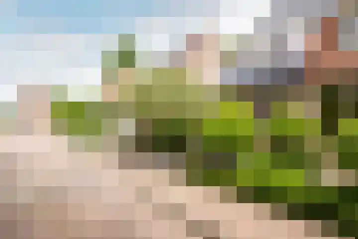 Haagwindelaan 20 Oosthuizen thumbnail 6