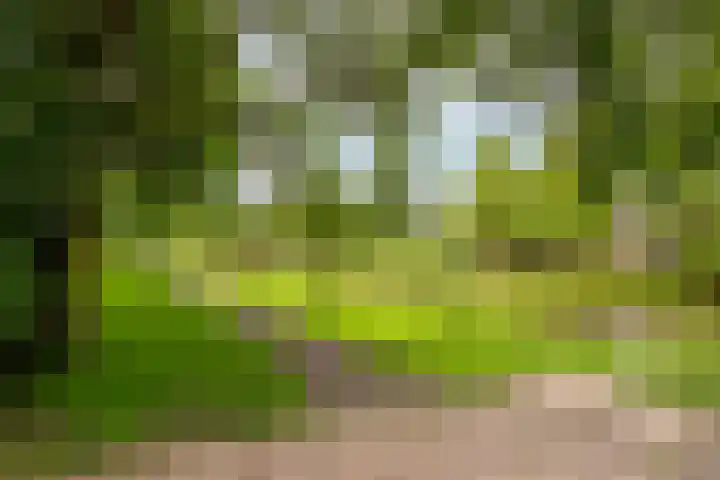 Haagwindelaan 20 Oosthuizen thumbnail 66