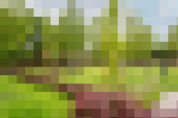 Haagwindelaan 20 Oosthuizen thumbnail 69