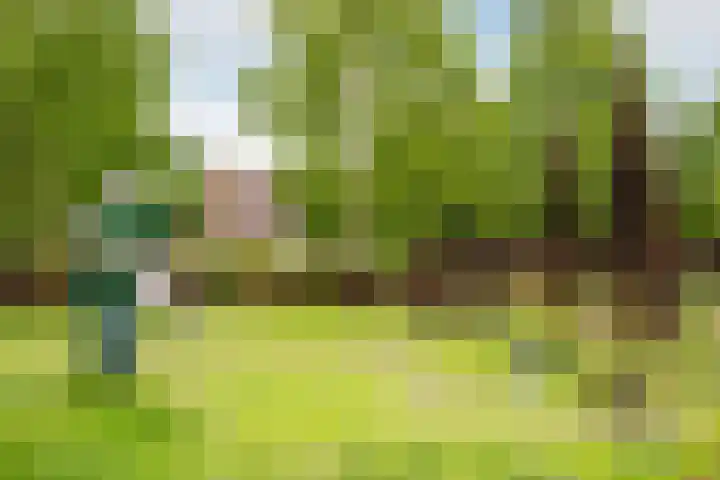 Haagwindelaan 20 Oosthuizen thumbnail 70