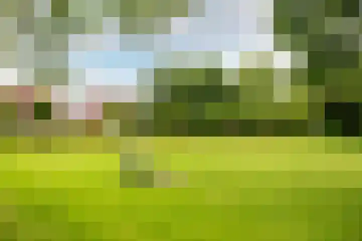 Haagwindelaan 20 Oosthuizen thumbnail 71