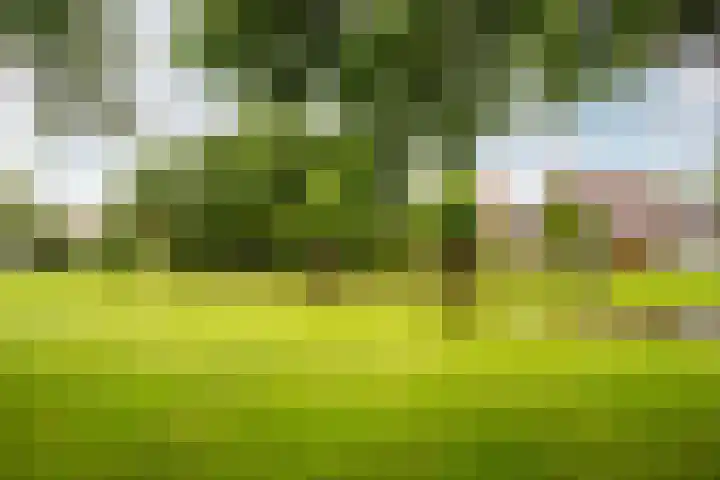 Haagwindelaan 20 Oosthuizen thumbnail 73