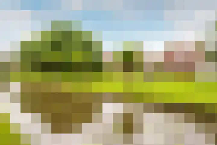 Haagwindelaan 20 Oosthuizen thumbnail 74