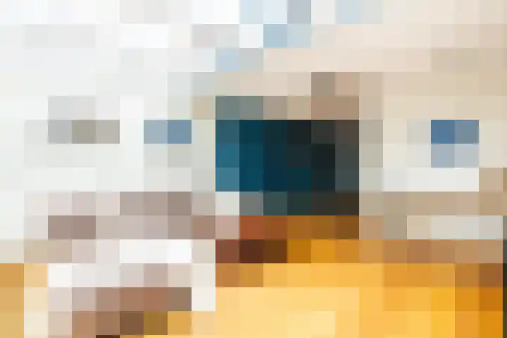 Haagwindelaan 20 Oosthuizen thumbnail 9