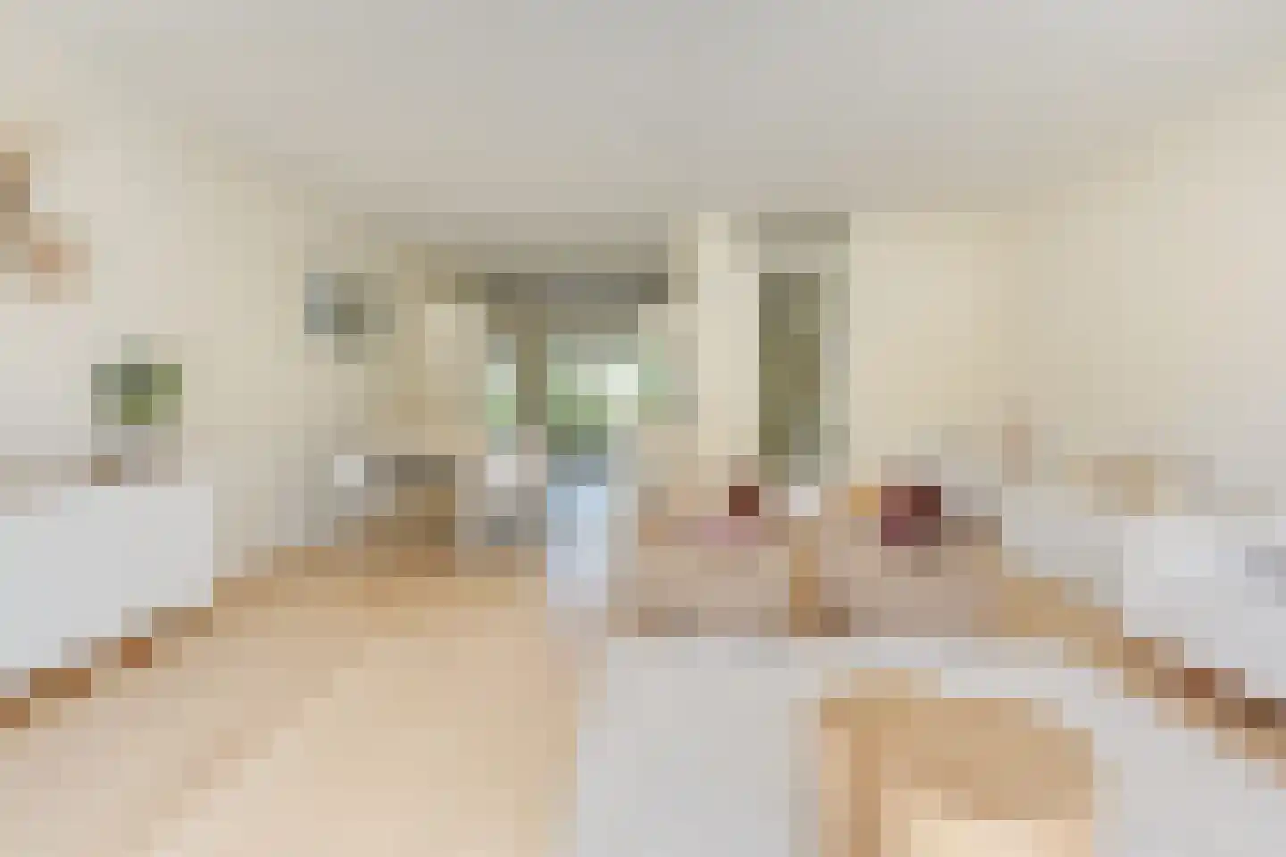 Haagwindelaan 8 Vleuten thumbnail 14