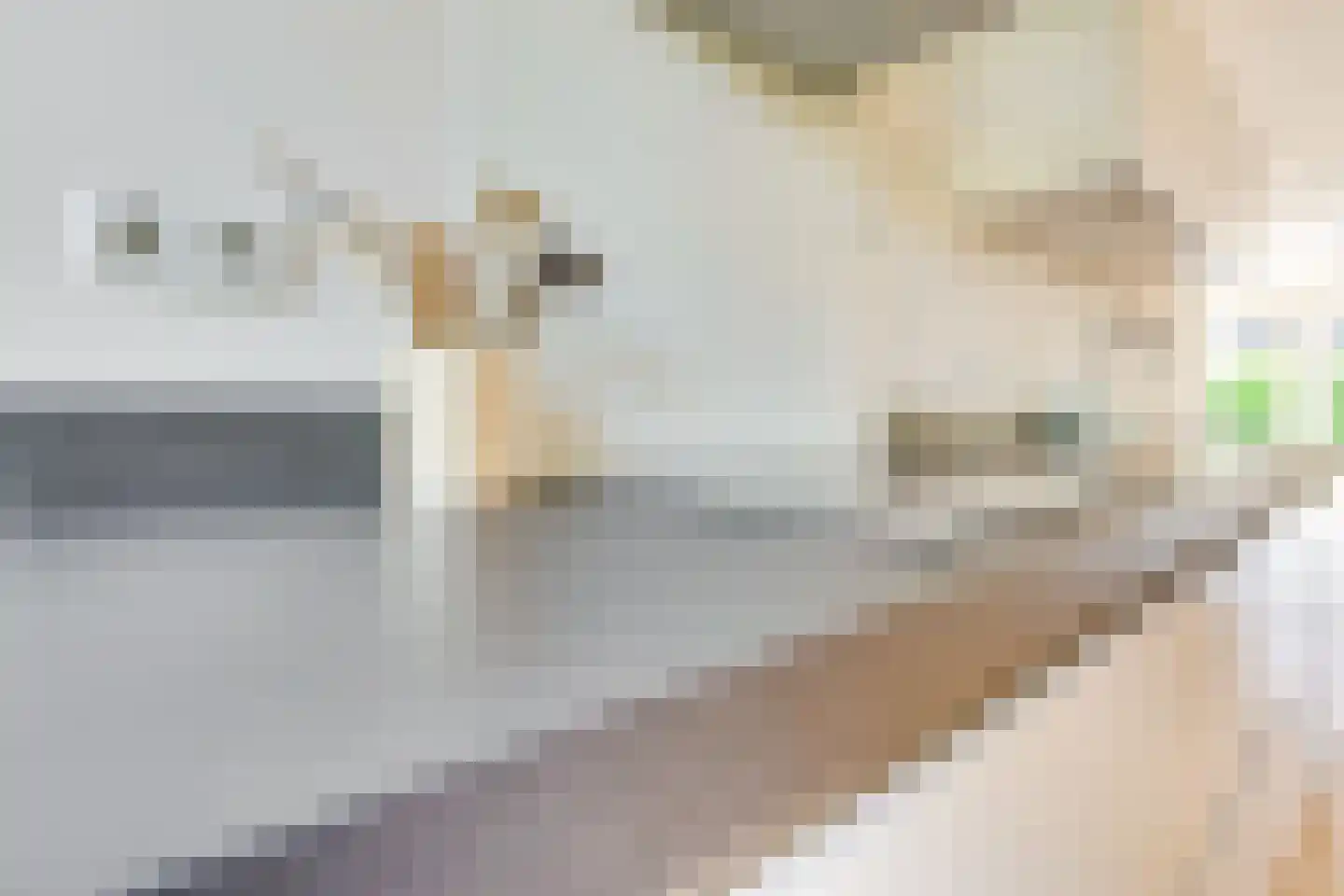 Haagwindelaan 8 Vleuten thumbnail 24