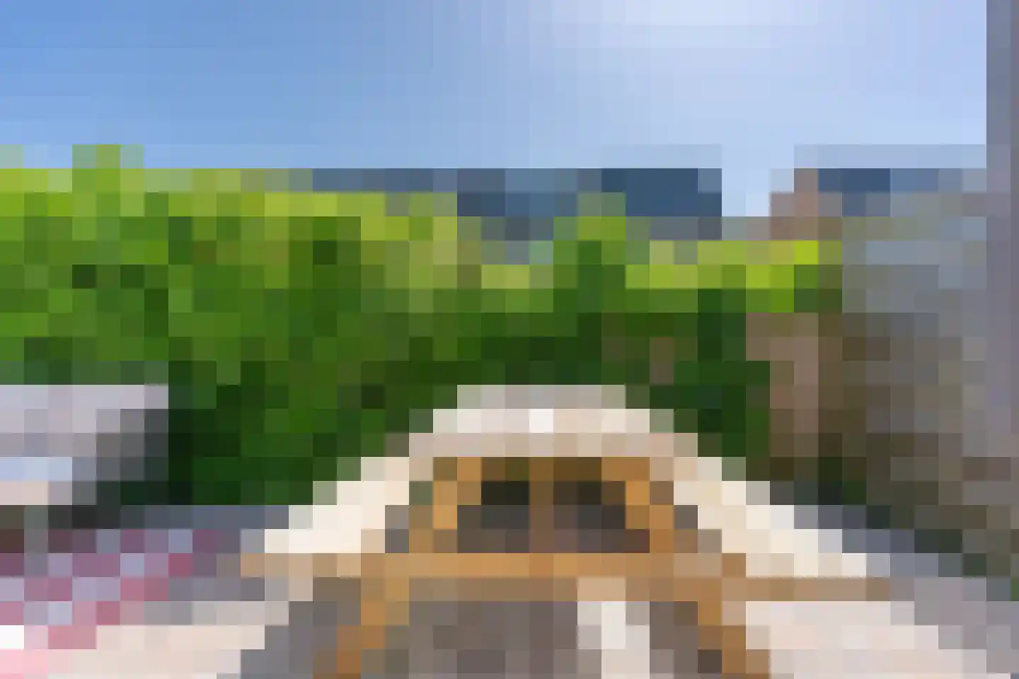 Haagwindelaan 8 Vleuten thumbnail 40