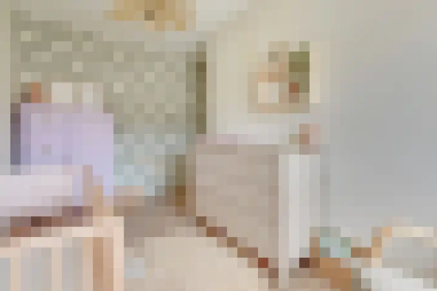 Haagwindelaan 8 Vleuten thumbnail 56