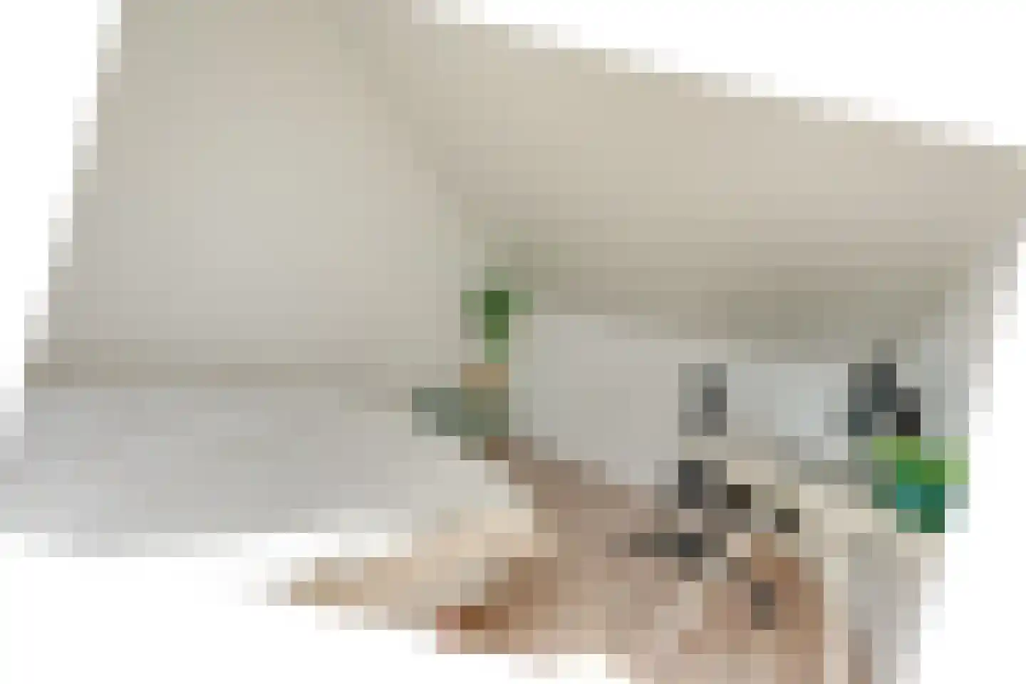 Haagwindelaan 8 Vleuten thumbnail 71