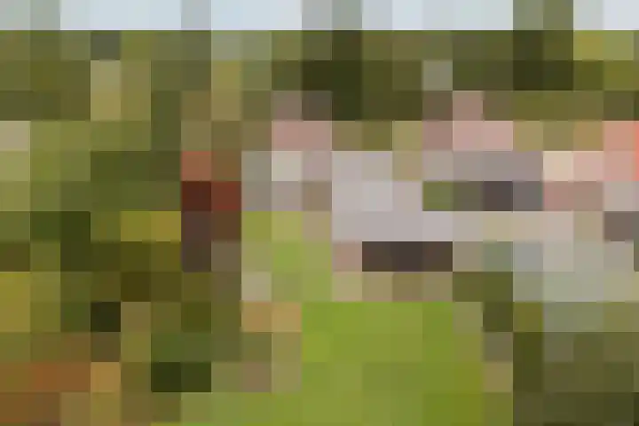 Haaijehoeke 11 Broeksterwâld thumbnail 10