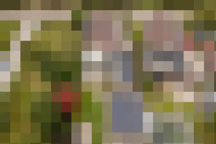Haaijehoeke 11 Broeksterwâld thumbnail 11