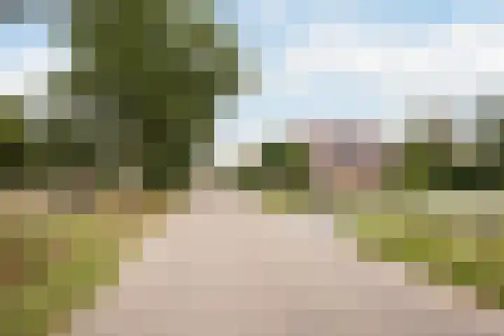 Haaijehoeke 11 Broeksterwâld thumbnail 12
