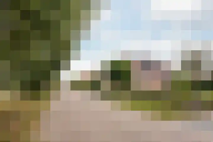 Haaijehoeke 11 Broeksterwâld thumbnail 13