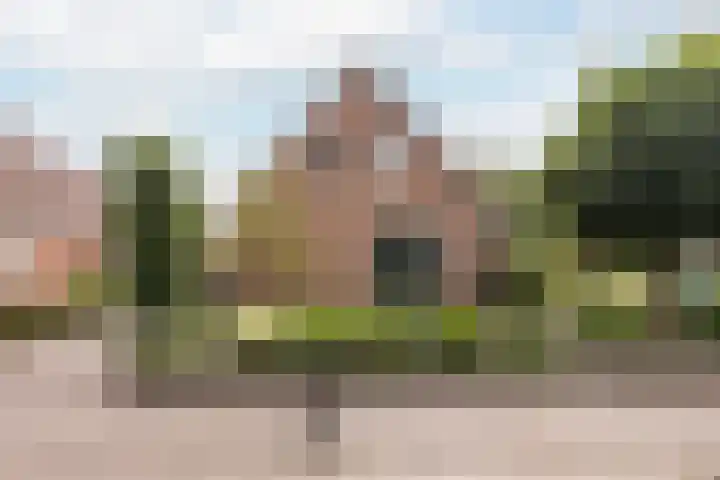 Haaijehoeke 11 Broeksterwâld thumbnail 16
