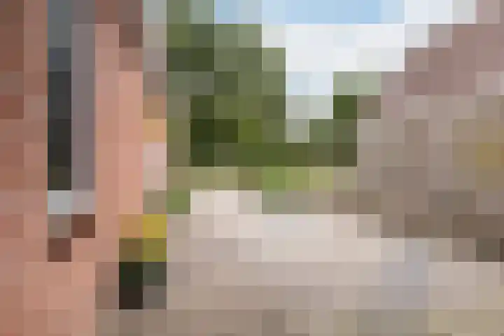 Haaijehoeke 11 Broeksterwâld thumbnail 21
