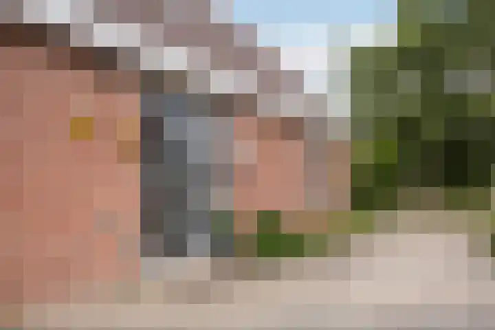 Haaijehoeke 11 Broeksterwâld thumbnail 22