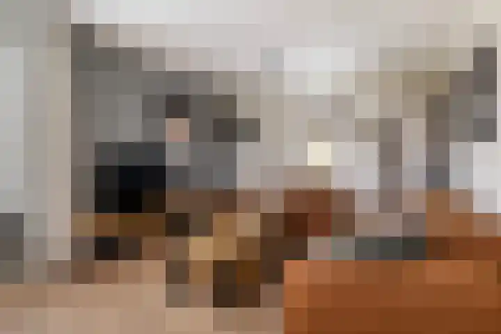 Haaijehoeke 11 Broeksterwâld thumbnail 30
