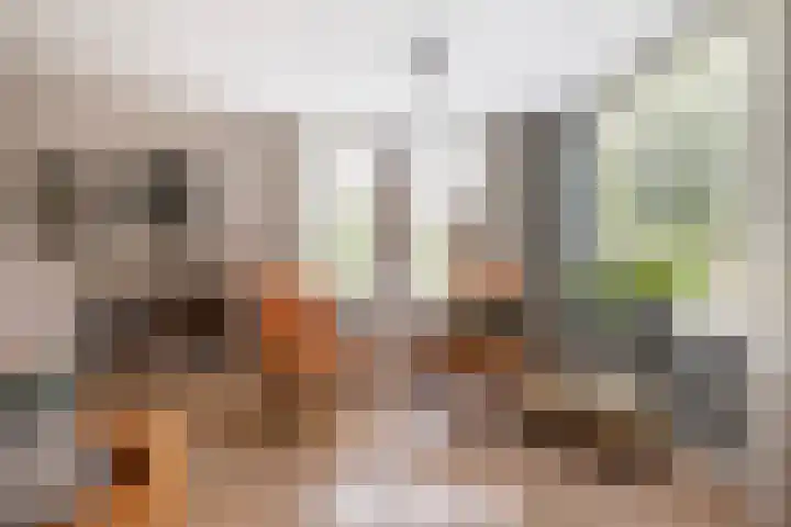 Haaijehoeke 11 Broeksterwâld thumbnail 33