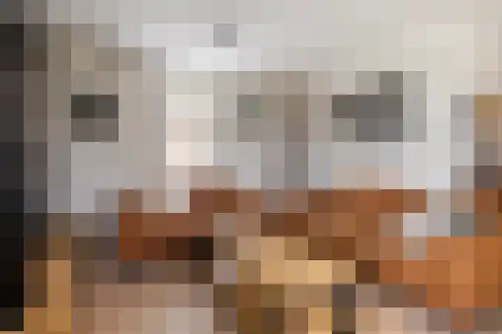 Haaijehoeke 11 Broeksterwâld thumbnail 34