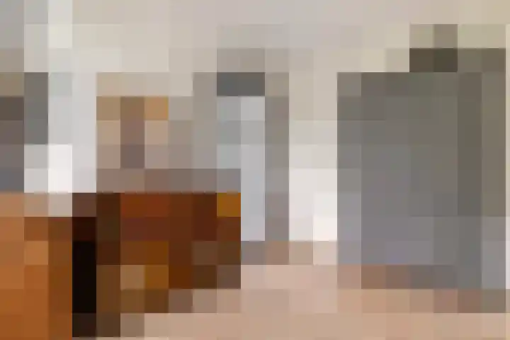 Haaijehoeke 11 Broeksterwâld thumbnail 35