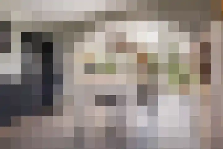 Haaijehoeke 11 Broeksterwâld thumbnail 37