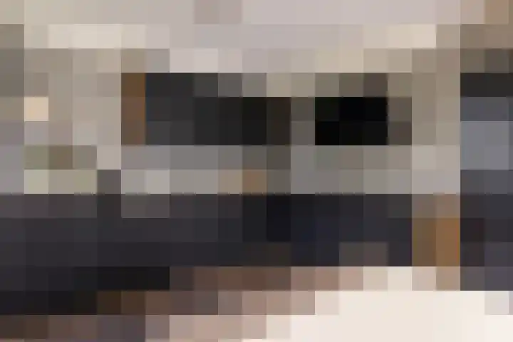 Haaijehoeke 11 Broeksterwâld thumbnail 38