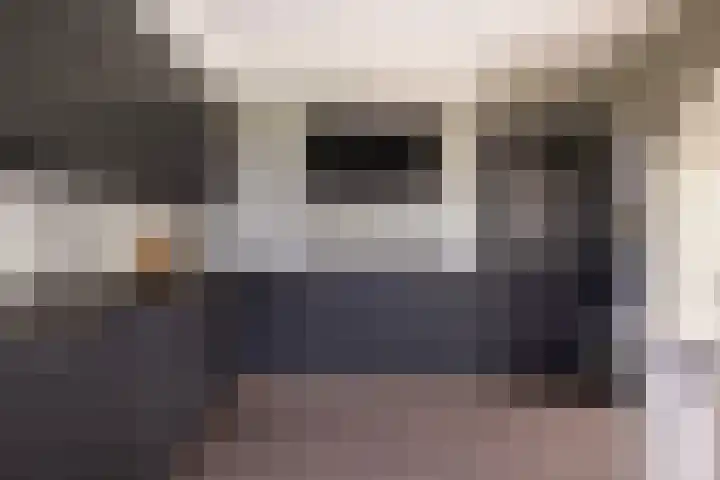Haaijehoeke 11 Broeksterwâld thumbnail 39