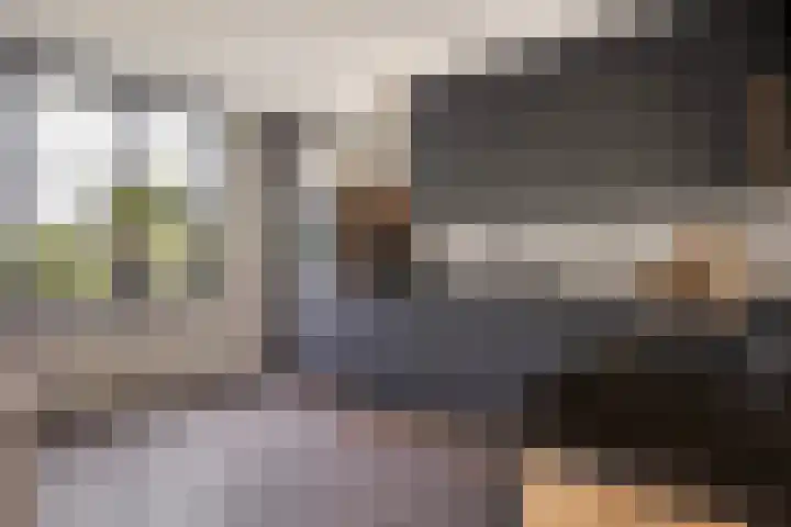 Haaijehoeke 11 Broeksterwâld thumbnail 4