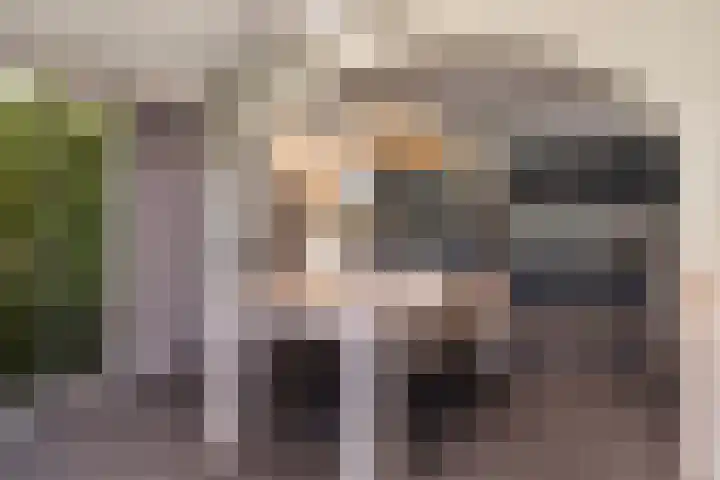 Haaijehoeke 11 Broeksterwâld thumbnail 40